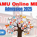 Aligarh University Online MBA