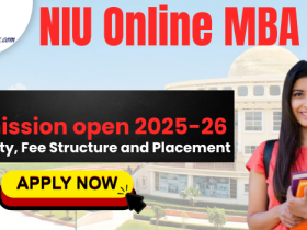 NIU Online MBA